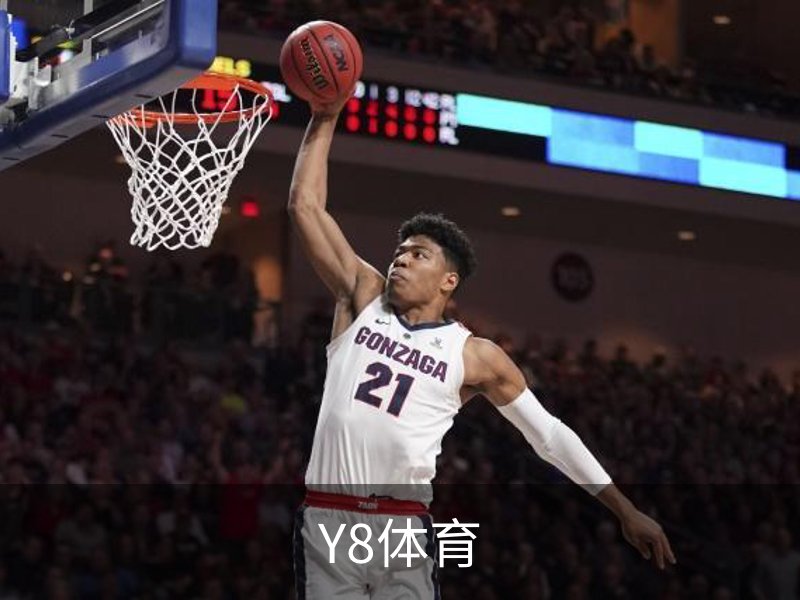 Y8体育介绍